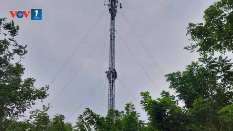 Viettel huy động tổng lực phòng chống bão Kajiki 