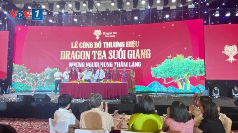 Công bố thương hiệu Dragon Tea Suối Giàng - tôn vinh tinh hoa trà cổ thụ và giá trị sống bền vững