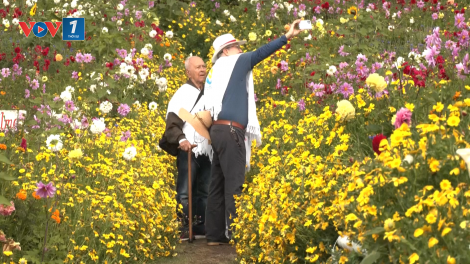Khai mạc lễ hội hoa Feria de Las Flores của Colombia