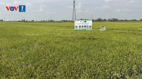 80 năm ngành Nông nghiệp phát triển vì sự thịnh vượng quốc gia 