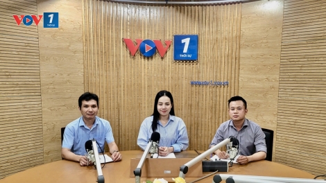 Cơ hội phát triển điện mặt trời mái nhà, góp phần đảm bảo điện ở miền Bắc