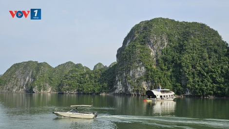 Hải Phòng: Cấm biển để phòng, tránh áp thấp nhiệt đới