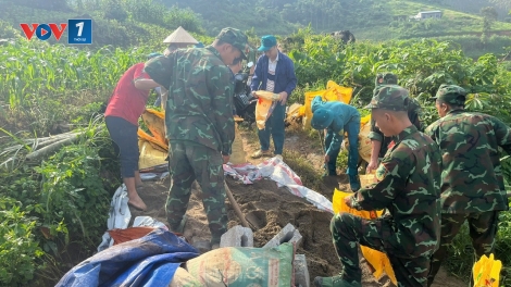  Thái Nguyên: Sáng đẹp tình quân dân trong phong trào xoá nhà tạm
