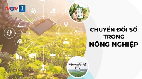 Chuyển đổi số - thay đổi tư duy sản xuất nông nghiệp của người nông dân (07/08/2025)