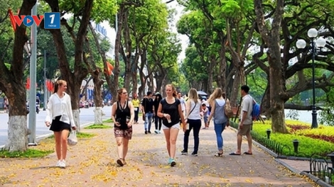 Triển khai đường dây nóng, tiếp nhận ý kiến phản ánh của người dân, du khách