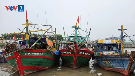 Hải Phòng: Cấm biển để phòng, chống bão số 5