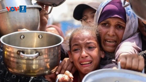 Dư luận về việc Liên Hợp Quốc tuyên bố nạn đói ở Gaza