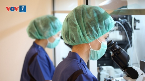 Nhật Bản phát triển AI ứng dụng trong điều trị vô sinh