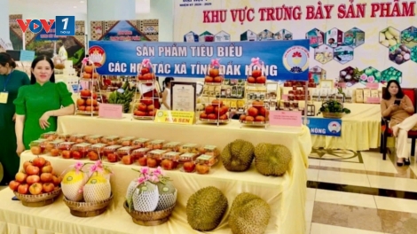 Chế biến sâu, nâng tầm giá trị sản phẩm OCOP-kết nối, lan tỏa giá trị Việt