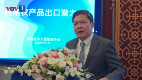 Đưa hàng Việt thâm nhập sâu vào thị trường Trung Quốc
