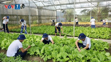 Gieo màu xanh trên miền cát trắng gió Lào