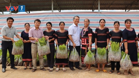 Từ nghị quyết giảm nghèo đến việc làm giàu của người Xơ Đăng nơi đại ngàn (26/8/2025)
