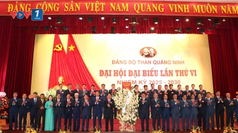 "Giữ vững vai trò hạt nhân chính trị, góp phần đưa ngành Than phát triển xanh và bền vững"