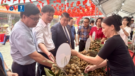 Phiên chợ Quảng bá nhãn lồng Hưng Yên tại Hà Nội