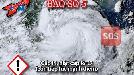 TIN BÃO HỎA TỐC: BÃO SỐ 5 VỌT CẤP - NGÀY CÀNG MẠNH