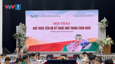 Ứng dụng tiến bộ kỹ thuật mới: Chìa khóa hiện đại hóa chăn nuôi