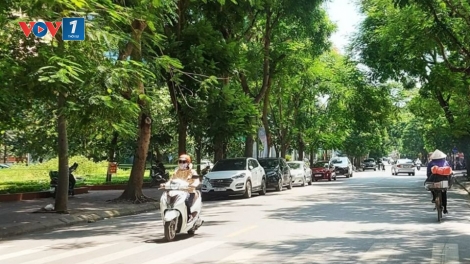 Thời tiết ngày 12/9: Bắc Bộ nắng mưa thất thường
