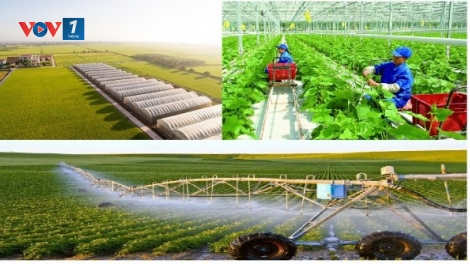 Khoa học công nghệ – Động lực nâng tầm nông nghiệp Việt Nam (12/09/2025)