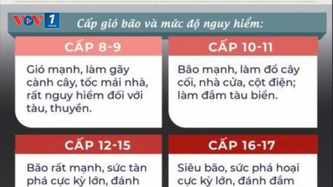 Trang bị kỹ năng ứng phó bão lớn, siêu bão cho người dân (24/09/2025)