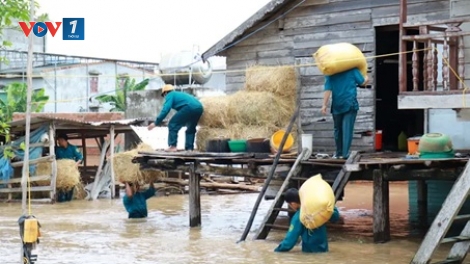 Mưa lớn gây ngập lụt nhiều xã phía Tây tỉnh Gia Lai, hàng trăm hộ dân bị ảnh hưởng