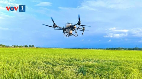 Canh tác tiết kiệm, nông dân gặt hái thành công (22/09/2025)