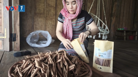 Hương quế thức giấc ở Cổng Trời