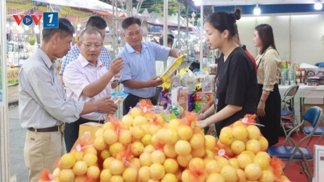 Ngành hàng rau quả: Tăng trưởng kỷ lục, khẳng định vị thế Việt Nam