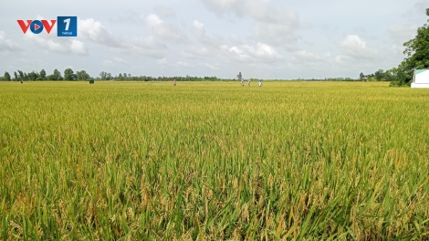 Sản xuất nông nghiệp cần "sạch từ tâm” (20+21/09/2025)