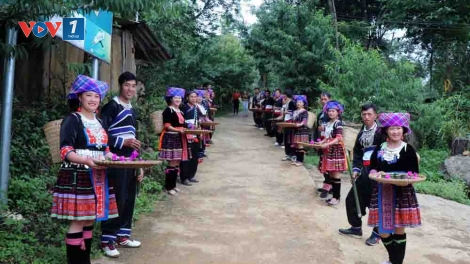 Theo dòng thời sự sáng 11/9/2025