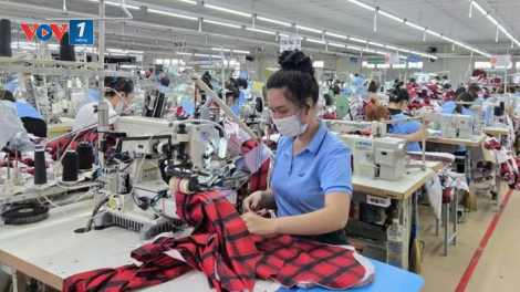 Doanh nghiệp Việt mở rộng thị trường nhờ chiến lược định vị thương hiệu.