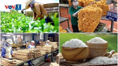 Nông nghiệp lấy lại đà tăng trưởng nhờ nông sản chủ lực (06/09/2025)