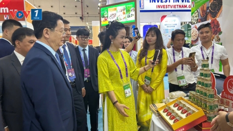 Đông đảo doanh nghiệp Việt Nam tham gia Hội chợ Trung Quốc - ASEAN