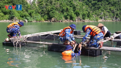 Vùng 1 Hải quân chủ động ứng phó bão Ragasa, đảm bảo an toàn cho người và tài sản