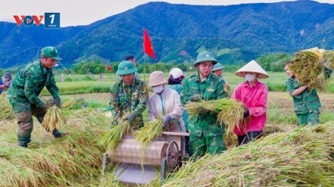 Những bông hoa đẹp trong vườn hoa quyết thắng toàn quân