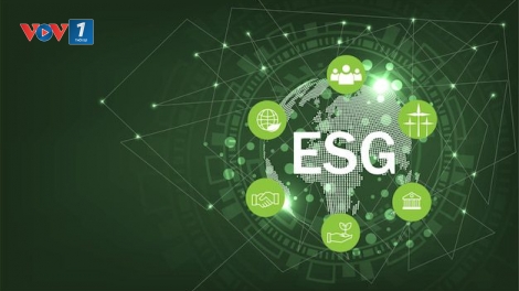 Thúc đẩy chuyển đổi số trong thực thi ESG- hướng phát triển bền vững cho doanh nghiệp (12/09/2025)