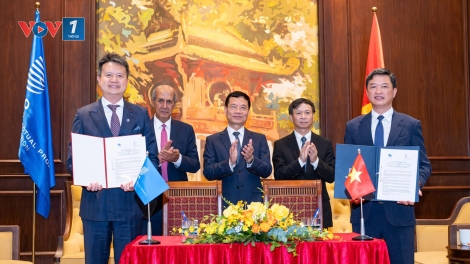 Việt Nam – WIPO mở rộng hợp tác sở hữu trí tuệ và đổi mới sáng tạo