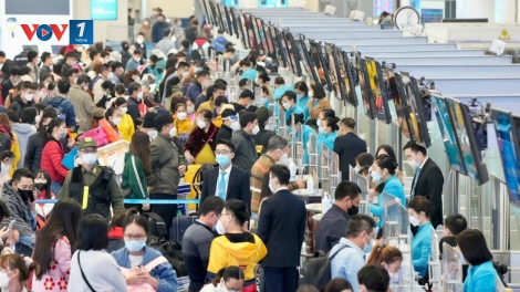 Mở bán sớm hơn 3,5 triệu vé máy bay dịp Tết 2026