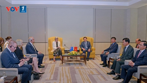 GS,TS Nguyễn Xuân Thắng tiếp xã giao Toàn quyền Australia