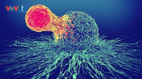 Bộ Y tế yêu cầu khẩn trương rà soát liệu pháp CAR-T cell trị ung thư máu