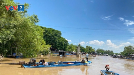 Đồng bằng sông Cửu Long: sản xuất nông nghiệp chủ động ứng phó với đỉnh lũ chính vụ từ cuối tháng 9