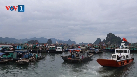 Quảng Ninh: Tạm ngừng cấp phép hoạt động tàu ở một số khu vực do ảnh hưởng của bão