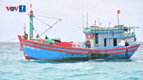 Đảo Sơn Ca hỗ trợ tàu cá ngư dân Gia Lai gặp sự cố trên biển