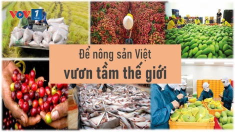 Nông sản Việt Nam vươn tầm thế giới (03/09/2025)