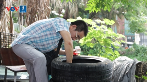 Số ca mắc sốt xuất huyết tại Hà Nội đã lên trên 200 ca/tuần, với hàng chục ổ dịch.