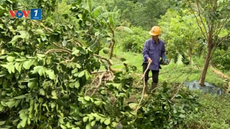 Tập trung khôi phục sản xuất sau thiên tai (02/10/2025)