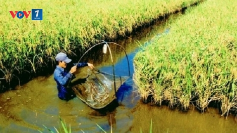 Phát triển thủy sản linh hoạt thích ứng biến đổi khí hậu (28/10/2025)