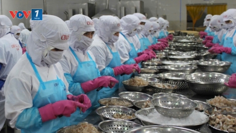 Giao dịch nông- thủy sản, lợi thế cho Trung tâm tài chính quốc tế Việt Nam