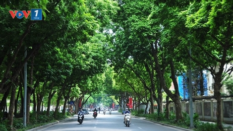 Thời tiết ngày 25/10/2025: Miền Bắc đêm lạnh, ngày nắng