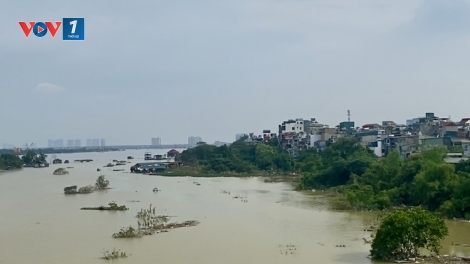 Người dân bãi giữa, ven sông Hồng, TP Hà Nội khẩn trương sơ tán, đảm bảo an toàn.