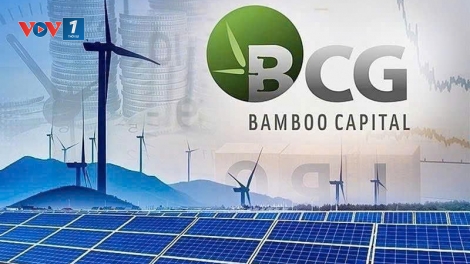 Cổ phiếu BCG và TCD bị đình chỉ giao dịch